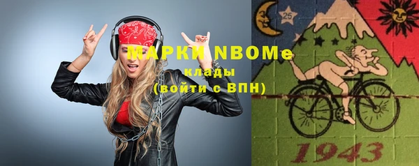 стафф Алзамай