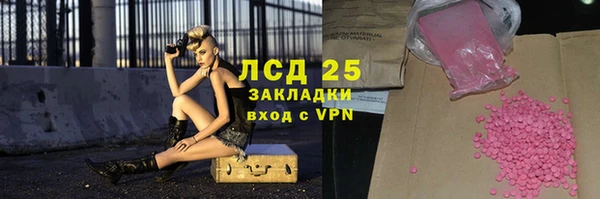 стафф Алзамай