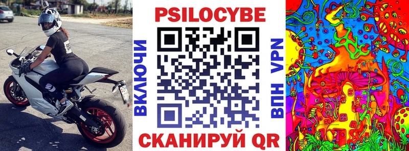наркошоп  Артём  MEGA ТОР  Галлюциногенные грибы мицелий 
